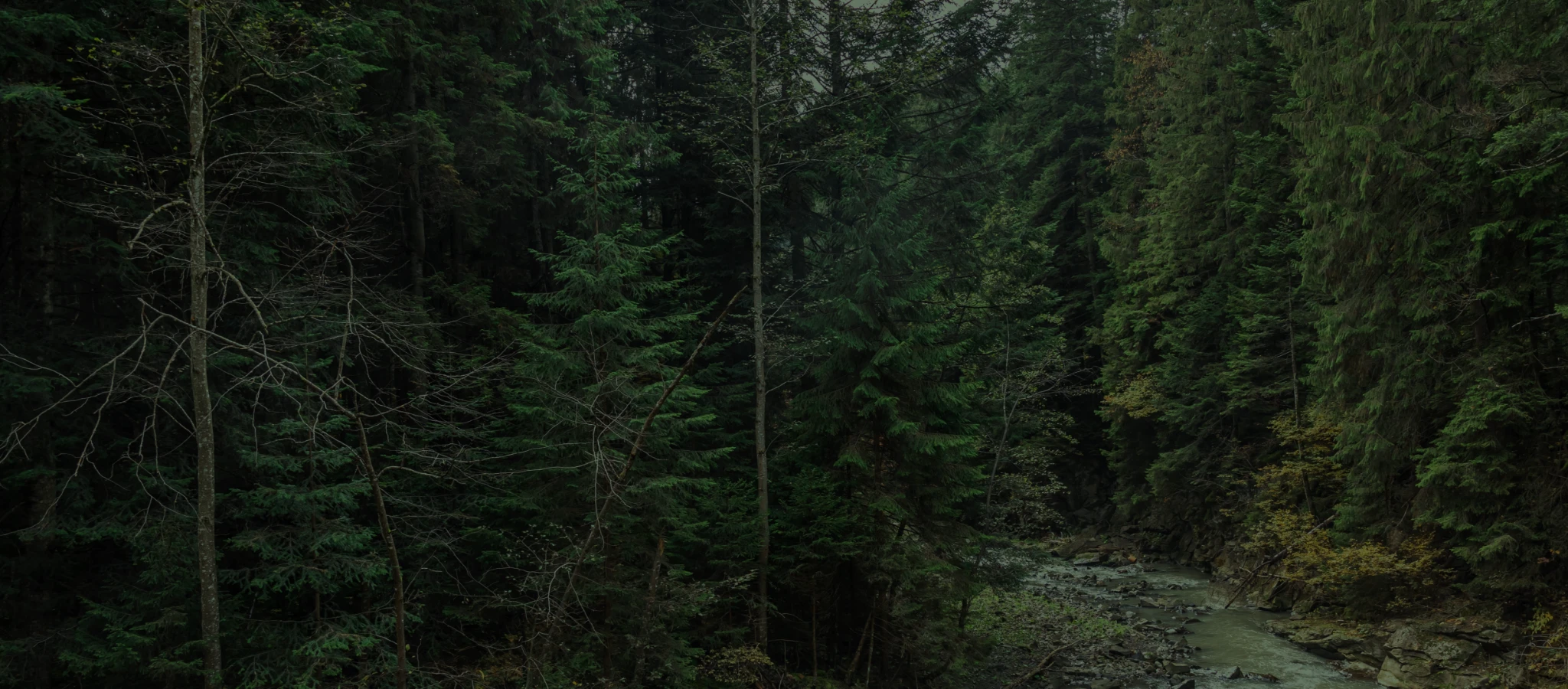 istituti Zootecnico Sperimentale per la Sicilia Slide BG